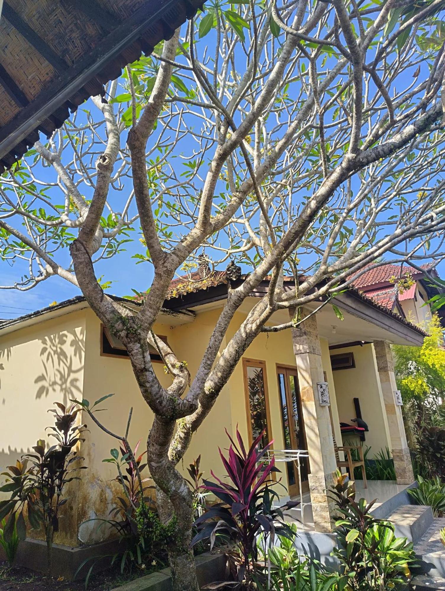 Kirra'S Beach House Pulukan Ngoại thất bức ảnh