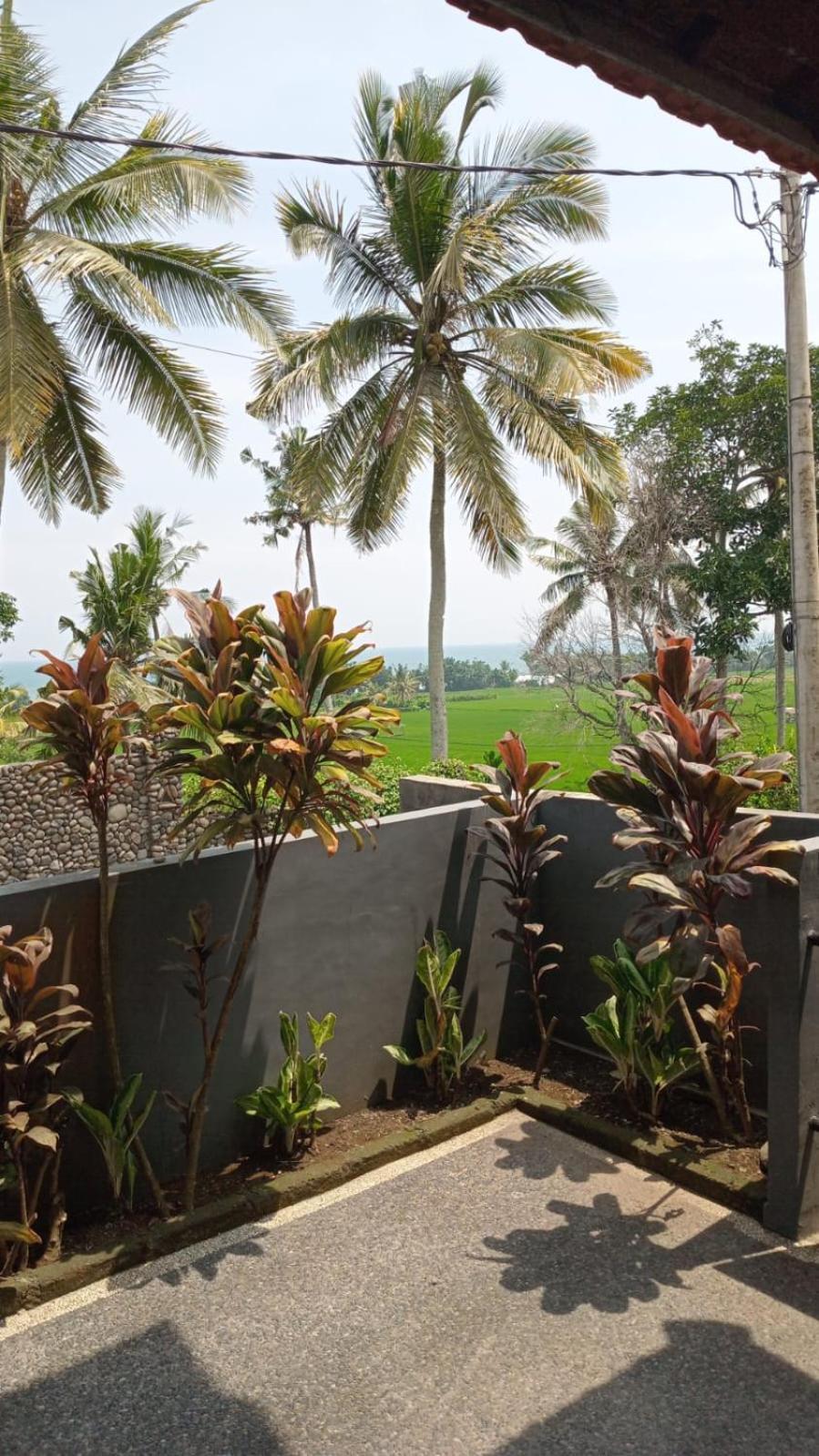 Kirra'S Beach House Pulukan Ngoại thất bức ảnh